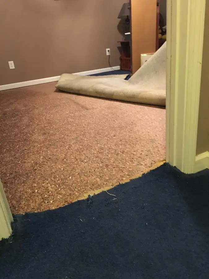Carpet pad removal revealing water damage during Water Mitigation Services in Fruitland
